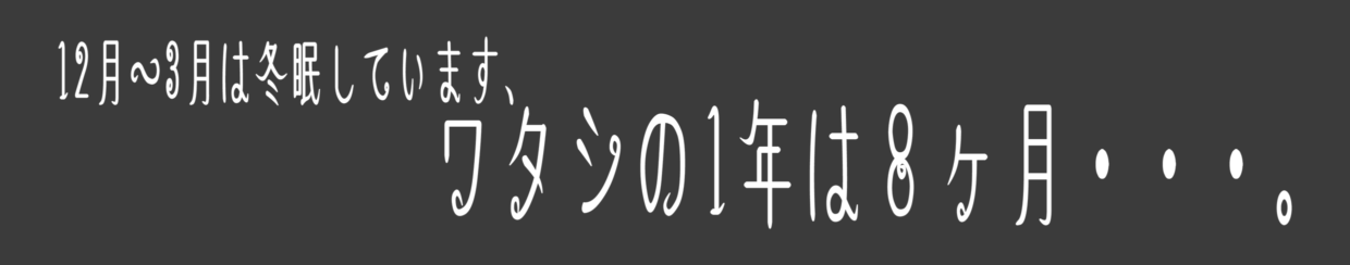 わたしの1年は8ヶ月・・・。
