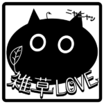 猫さまファビコン